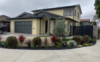 Why Use A Professional Landscaper
